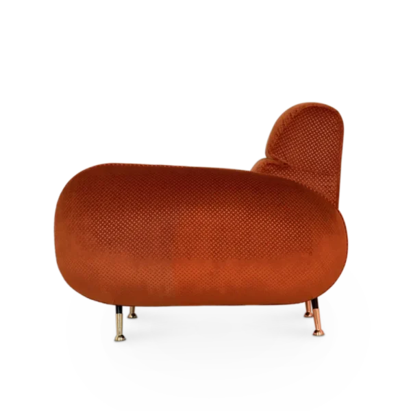 Comfortable and stylish Lounge chair by La Bianco